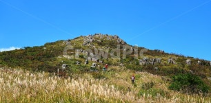 입석대, 갈대, 장불재, 중머리재, 무등산, 사진,이미지,일러스트,캘리그라피 - 가는세월작가 크라우드픽 - 저작권 걱정 없는 상업용 이미지