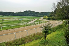 원당종마공원, 원당, 원당종마목장, 렛츠런팜원당, 말목장, 사진,이미지,일러스트,캘리그라피 - Deep bLUE작가 크라우드픽 - 저작권 걱정 없는... 