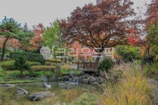 공원, 숲, 물, 시내, 하천, 사진,이미지,일러스트,캘리그라피 - imlover작가 크라우드픽 - 저작권 걱정 없는 상업용 이미지