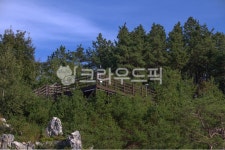 자연, nature, 옥외, outdoors, 산책, 사진,이미지,일러스트,캘리그라피 - studio H작가 크라우드픽 - 저작권 걱정 없는 상업용 이미지