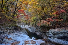 설악산, 가을, 풍경, 단풍, 탐방, 사진,이미지,일러스트,캘리그라피 - 릴작가 크라우드픽 - 저작권 걱정 없는 상업용 이미지