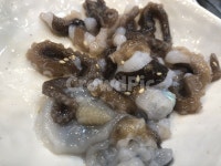 산낙지, 낙지, 해산물, 바닷가, 횟집, 사진,이미지,일러스트,캘리그라피 - crazyJANE작가 크라우드픽 - 저작권 걱정 없는 상업용 이미지