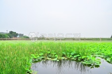 공원, 호수공원, 수변공원, 다리, 호수, 사진,이미지,일러스트,캘리그라피 - photoyoon작가 크라우드픽 - 저작권 걱정 없는 상업용 이미지