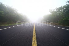 길, 안개, 몽환적, 도로, road, 사진,이미지,일러스트,캘리그라피 - 마음의시럽작가 크라우드픽 - 저작권 걱정 없는 상업용 이미지