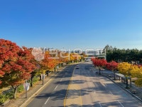 안산, 가을, 공원, 화랑유원지, 초지동, 사진,이미지,일러스트,캘리그라피 - 손스타차차작가 크라우드픽 - 저작권 걱정 없는 상업용 이미지