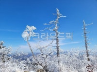 자연, 날씨, 서리, 눈, snow, 사진,이미지,일러스트,캘리그라피 - sweetgirl46작가 크라우드픽 - 저작권 걱정 없는 상업용 이미지