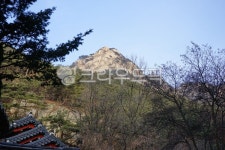 산, 봉오리, 나무, 하늘, 옥외, 사진,이미지,일러스트,캘리그라피 - hys작가 크라우드픽 - 저작권 걱정 없는 상업용 이미지