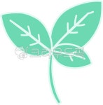 MINT HOUSE(박하집) | 민트, 박하, 상쾌한, 시원한, 허브, 사진,이미지,일러스트,캘리그라피 - ayoung50작가 크라우드픽 - 저작권 걱정 없는 상업용 이미지
