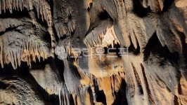 cave, 동굴, nature, 자연, 성류굴, 사진,이미지,일러스트,캘리그라피 - East Na작가 크라우드픽 - 저작권 걱정 없는 상업용 이미지