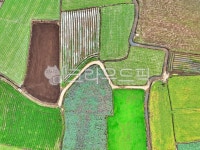 nature, 자연, farm, 농장, aerialview, 사진,이미지,일러스트,캘리그라피 - 히든스카이작가 크라우드픽 - 저작권 걱정 없는 상업용 이미지