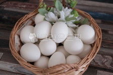 식품, 계란, 흰계란, 백란, egg, 사진,이미지,일러스트,캘리그라피 - Nstonekwak작가 크라우드픽 - 저작권 걱정 없는 상업용 이미지