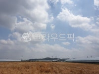 시골, 풍경, 농로, 가을느낌, 한국자연풍경, 사진,이미지,일러스트,캘리그라피 - 별똥마마작가 크라우드픽 - 저작권 걱정 없는 상업용 이미지