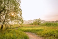 자연, 풍경, 일출, 자연경관, 인천, 사진,이미지,일러스트,캘리그라피 - MiRaClePhoto작가 크라우드픽 - 저작권 걱정 없는 상업용 이미지