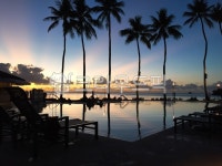 수영장, 풀빌라, 리조트, 야자수, 팔라우, 사진,이미지,일러스트,캘리그라피 - 우유스토리작가 크라우드픽 - 저작권 걱정 없는 상업용 이미지