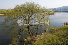 금강로하스해피로드, 둘레길, 도보길, 금강, 강, 사진,이미지,일러스트,캘리그라피 - Deep bLUE작가 크라우드픽 - 저작권 걱정 없는 상업용 이미지