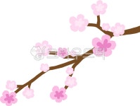 flower, 꽃, 벚꽃, 꽃이미지, 분홍색꽃, 사진,이미지,일러스트,캘리그라피 - 그림점빵작가 크라우드픽 - 저작권 걱정 없는 상업용 이미지