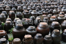 항아리, 장독대, 된장독, 빛, 시골, 사진,이미지,일러스트,캘리그라피 - Nepoto1작가 크라우드픽 - 저작권 걱정 없는 상업용 이미지