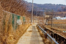 농로, 배수로, 자연, nature, 옥외, 사진,이미지,일러스트,캘리그라피 - studio H작가 크라우드픽 - 저작권 걱정 없는 상업용 이미지