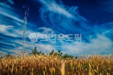 황매산, 억새, 푸른하늘, 파란하늘, 경남, 사진,이미지,일러스트,캘리그라피 - gudwnd1345작가 크라우드픽 - 저작권 걱정 없는 상업용 이미지
