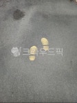 아스팔트, 발자국, 보행도로, 보행방향, 걷기, 사진,이미지,일러스트,캘리그라피 - 호주환경미화원작가 크라우드픽 - 저작권 걱정 없는 상업용 이미지