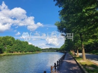 담양, 관방제림, 공원, 호숫가, 구름, 사진,이미지,일러스트,캘리그라피 - Nappleloves2작가 크라우드픽 - 저작권 걱정 없는 상업용 이미지