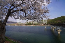water, 물, 월영교, 안동팔경, 안동댐, 사진,이미지,일러스트,캘리그라피 - Nbobo574작가 크라우드픽 - 저작권 걱정 없는 상업용 이미지