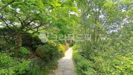 하늘물빛정원, 길, path, 자연, nature, 사진,이미지,일러스트,캘리그라피 - 쓰리에스작가 크라우드픽 - 저작권 걱정 없는 상업용 이미지