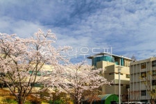 고대, 고려대, 고려대학교, 서울, 안암동, 사진,이미지,일러스트,캘리그라피 - imlover작가 크라우드픽 - 저작권 걱정 없는 상업용 이미지