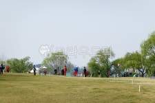 파크골프, 파크골프장, 스포츠, 취미, 운동, 사진,이미지,일러스트,캘리그라피 - 나비처럼작가 크라우드픽 - 저작권 걱정 없는 상업용 이미지