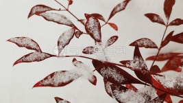 겨울, 눈, 감성, 나무, 잎, 사진,이미지,일러스트,캘리그라피 - magicH작가 크라우드픽 - 저작권 걱정 없는 상업용 이미지