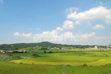 농촌, 시골, 풍경, 하늘, 배경, 사진,이미지,일러스트,캘리그라피 - 프리이미지작가 크라우드픽 - 저작권 걱정 없는 상업용 이미지