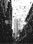 비, 우중, 빗물, 도시, city, 사진,이미지,일러스트,캘리그라피 - 웅이님72작가 크라우드픽 - 저작권 걱정 없는 상업용 이미지