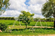 자연, nature, 옥외, outdoors, 조형물, 사진,이미지,일러스트,캘리그라피 - studio H작가 크라우드픽 - 저작권 걱정 없는 상업용 이미지