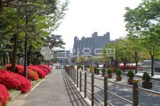 고대, 고려대, 고려대학교, 서울, 안암동, 사진,이미지,일러스트,캘리그라피 - imlover작가 크라우드픽 - 저작권 걱정 없는 상업용 이미지