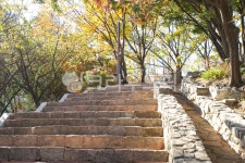 와룡공원, 와룡공원길, 산책, 산책로, 서울, 사진,이미지,일러스트,캘리그라피 - imlover작가 크라우드픽 - 저작권 걱정 없는 상업용 이미지