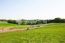 원당종마목장, 목장, 담장, 들판, 초원, 사진,이미지,일러스트,캘리그라피 - 메추리알작가 크라우드픽 - 저작권 걱정 없는 상업용 이미지