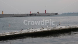 바다, 항구, sea, port, 선박, 사진,이미지,일러스트,캘리그라피 - note57작가 크라우드픽 - 저작권 걱정 없는 상업용 이미지