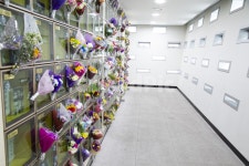 장례식, 장례, 장례문화, 애도, 유골, 사진,이미지,일러스트,캘리그라피 - 원프로작가 크라우드픽 - 저작권 걱정 없는 상업용 이미지