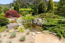 nature, 자연, outdoors, 옥외, pond, 사진,이미지,일러스트,캘리그라피 - 헝그리작가작가 크라우드픽 - 저작권 걱정 없는 상업용 이미지