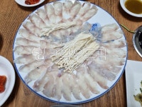 회, 복어회, 복어샤브샤브, seafood, food, 사진,이미지,일러스트,캘리그라피 - jouliet작가 크라우드픽 - 저작권 걱정 없는 상업용 이미지