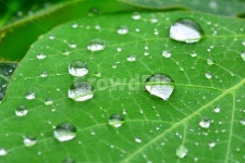 물방울, 이슬, 빗방울, 물, h2o, 사진,이미지,일러스트,캘리그라피 - space작가 크라우드픽 - 저작권 걱정 없는 상업용 이미지