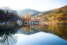 저수지, 단풍, 송곡지, 불당골, water, 사진,이미지,일러스트,캘리그라피 - 제이티에스작가 크라우드픽 - 저작권 걱정 없는 상업용 이미지