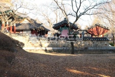 진주성, 돌담, 절, 나무, 맑은, 사진,이미지,일러스트,캘리그라피 - 냥갱셔터작가 크라우드픽 - 저작권 걱정 없는 상업용 이미지