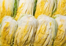 김치, 김장, 배추, 배추김치, 절임배추, 사진,이미지,일러스트,캘리그라피 - carywoman작가 크라우드픽 - 저작권 걱정 없는 상업용 이미지