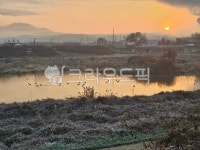 자연, 하늘, 날씨, 강, 아침, 사진,이미지,일러스트,캘리그라피 - mangun11작가 크라우드픽 - 저작권 걱정 없는 상업용 이미지