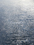 water, 물, 물결, 바다, outdoors, 사진,이미지,일러스트,캘리그라피 - 네모 nemo작가 크라우드픽 - 저작권 걱정 없는 상업용 이미지