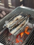 장어, 캠핑, 그릴, camping, cooking, 사진,이미지,일러스트,캘리그라피 - Nsuheeseo작가 크라우드픽 - 저작권 걱정 없는 상업용 이미지