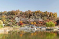 서울, 자연, 생태, 공원, 번동, 사진,이미지,일러스트,캘리그라피 - imlover작가 크라우드픽 - 저작권 걱정 없는 상업용 이미지