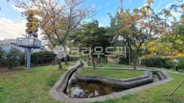 제주, 솜반천, 자연, nature, 공원, 사진,이미지,일러스트,캘리그라피 - 쓰리에스작가 크라우드픽 - 저작권 걱정 없는 상업용 이미지