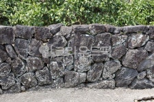 제주, 돌담, 제주석, 화산석, 푸른잎, 사진,이미지,일러스트,캘리그라피 - housedesign작가 크라우드픽 - 저작권 걱정 없는 상업용 이미지